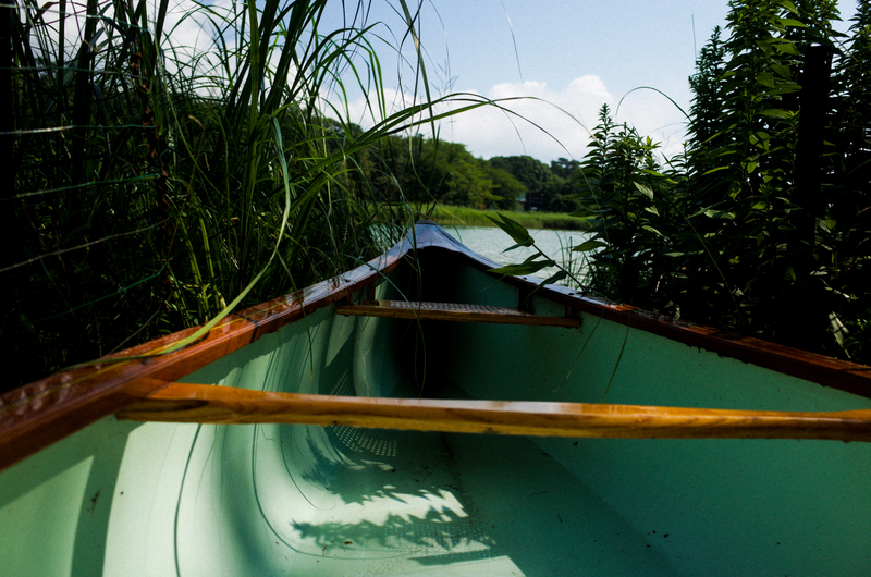 Illustration for article titled GEORGICA POND